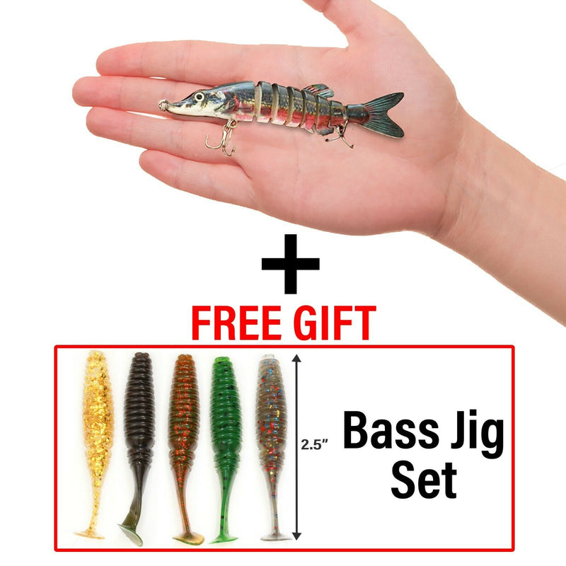 UFISH Large 5