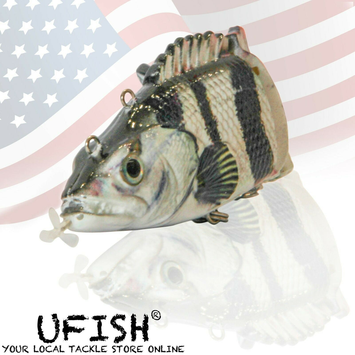 UFISH 5.5 